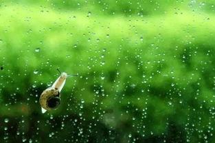 粉笔落心田,书写青春记忆的篇章